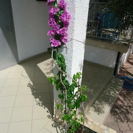 Tina Apartment